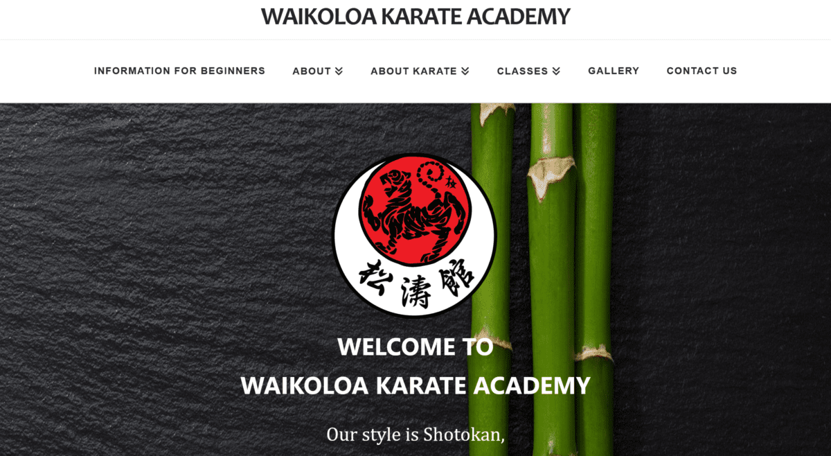 waikoloa karate academy